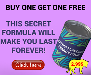Advertisement