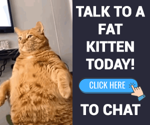 Advertisement